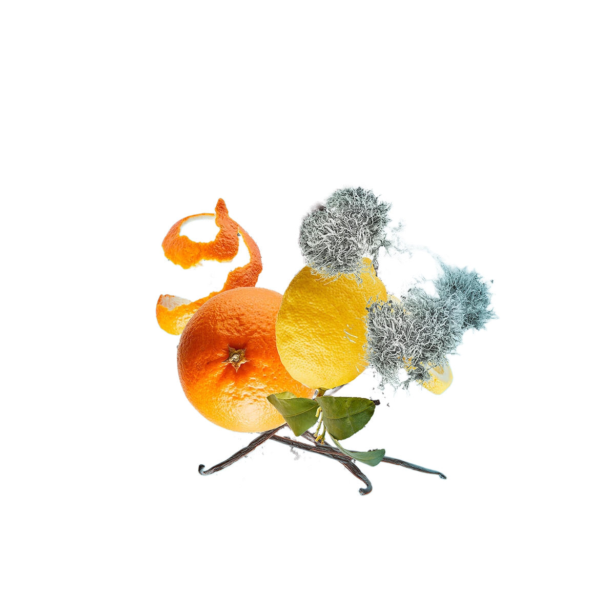 Schwiegermutters-Liebling Bundle