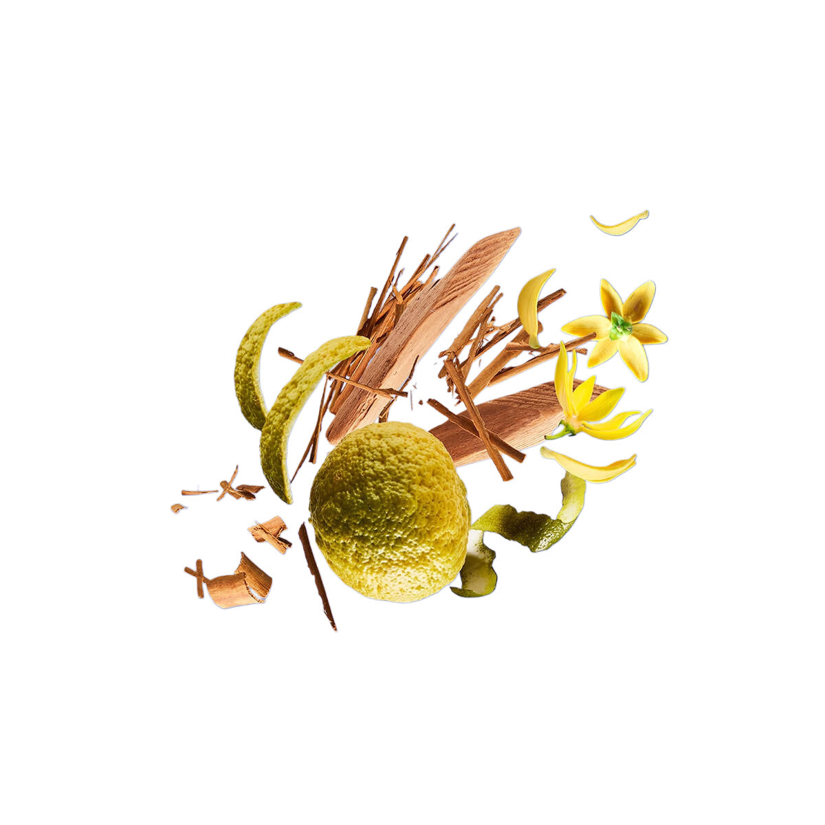 Xerjoff Exklusiv Bundle