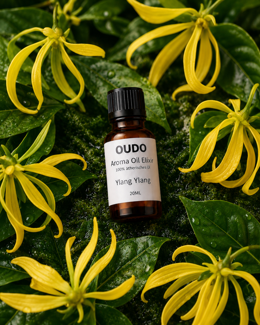 Ylang Ylang ätherisches Öl für den OUDO Diffuser