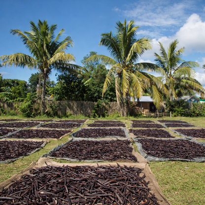 Aroma Oil Elixir Vanille